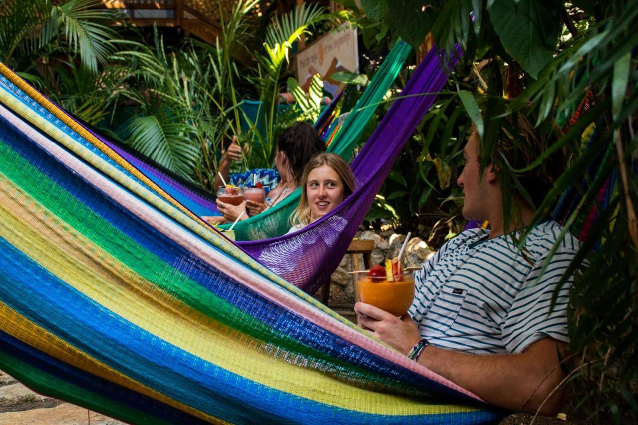 Los Amigos Hostel Flores Eksteriør billede
